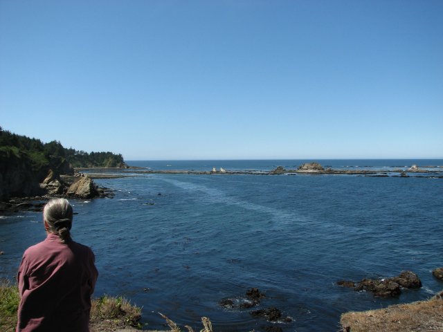 Overlooking South COve